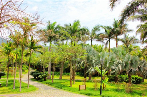 怎么选择餐饮店菜单设计，如何设计餐饮菜单