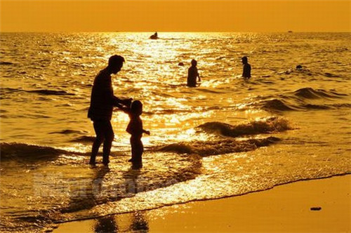 鸡蛋肉丸炒西芹可以吃吗（鸡蛋肉丸炒西芹可以吃吗有毒吗）