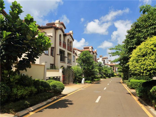 车建新第一住老婆简历（车建新是谁）