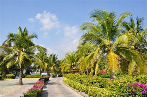 全域旅游与气候（全域旅游与旅游服务）