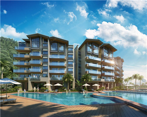 大王营养品正品（大王品牌官方旗舰店）