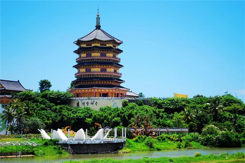 zpt是什么意思（zpd是啥意思）